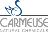 www.carmeuse.nl